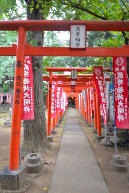 プチモンド目白　周辺環境　鬼子母神