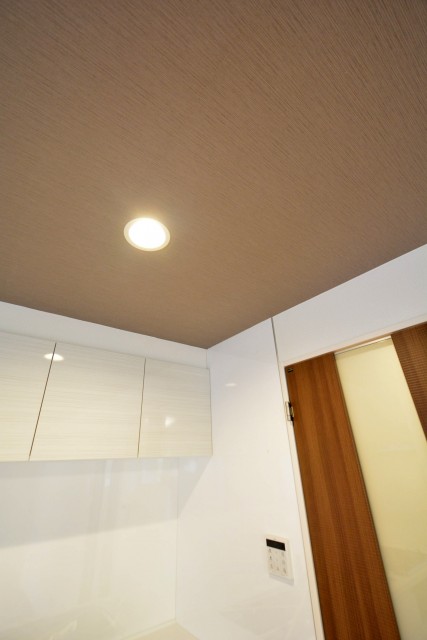 カーサ一番町　ダウンライト