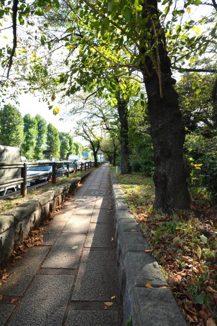 カーサ一番町　周辺環境