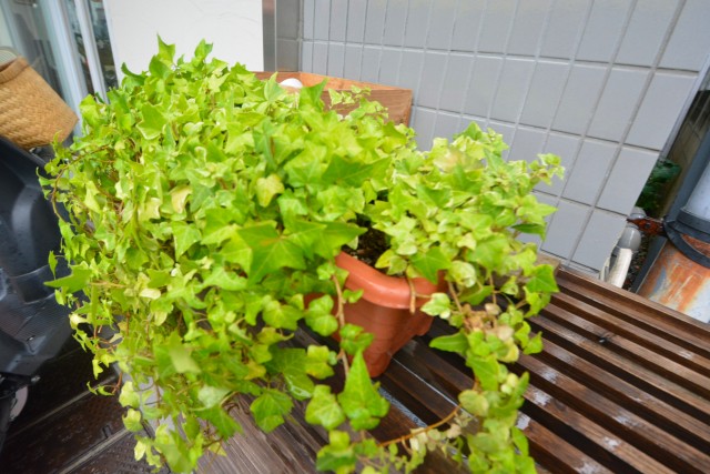 プチモンド目白　周辺環境