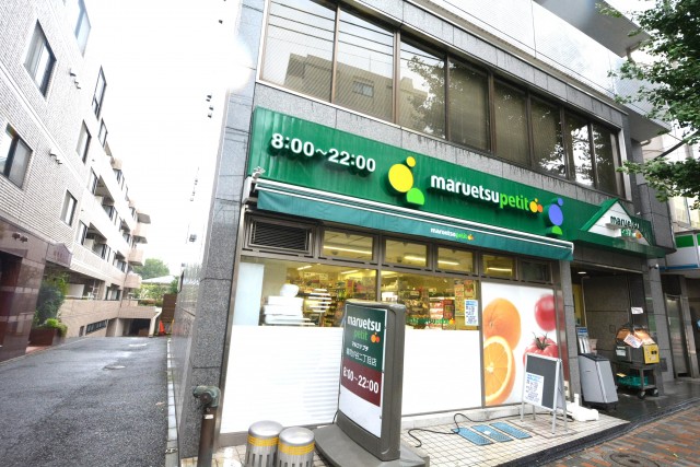 プチモンド目白　周辺環境