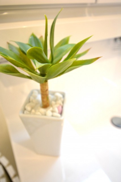 プチモンド目白　洗面台