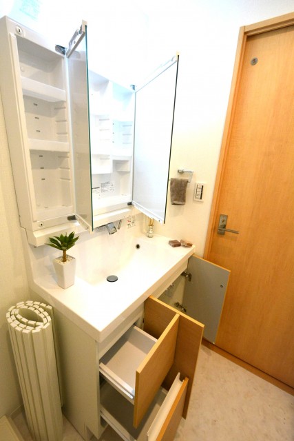 プチモンド目白　洗面台