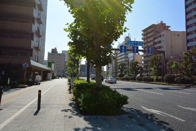 大森海岸パークハウス　前面道路