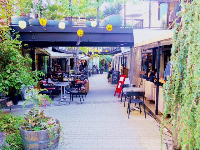 協栄メゾン代々木　周辺環境