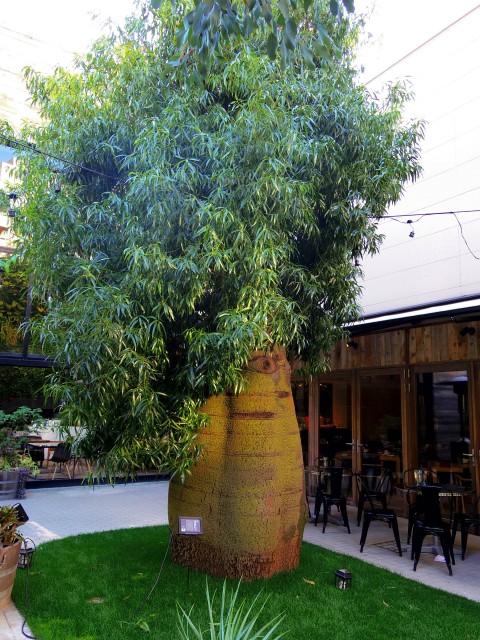 協栄メゾン代々木　周辺環境