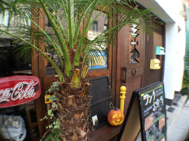 代々木ハビテーション 周辺環境