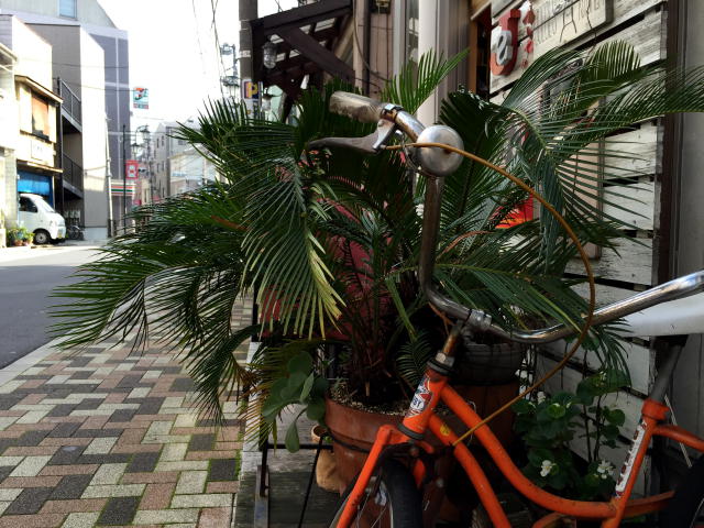 代々木ハビテーション 周辺環境