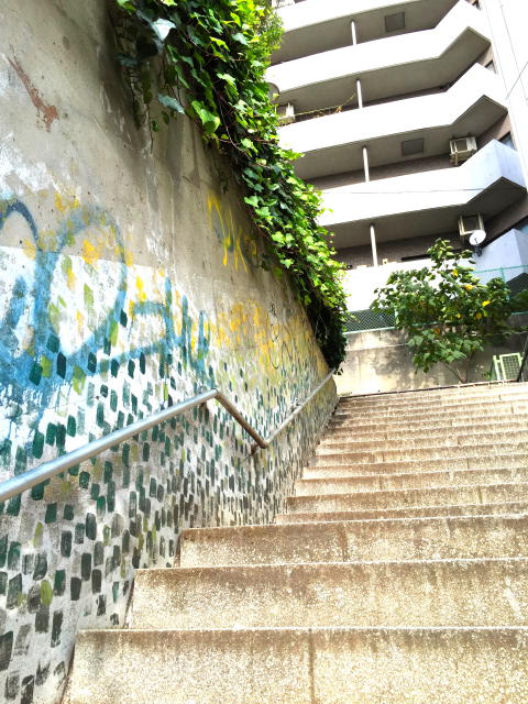 代々木ハビテーション 周辺環境