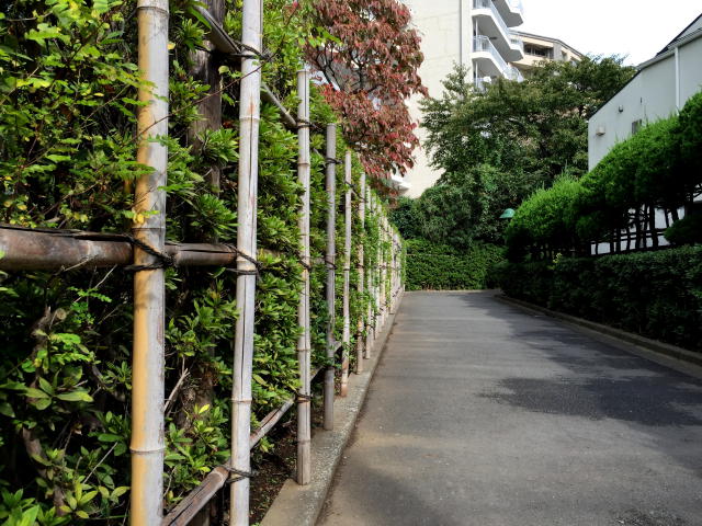 シーアイマンション駒場　植栽