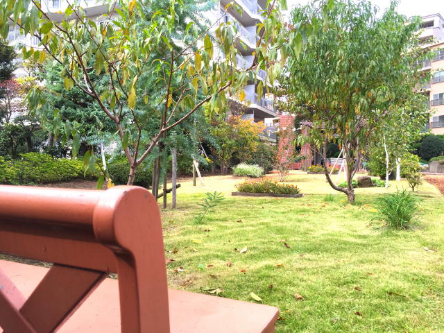 シーアイマンション駒場　敷地内庭園