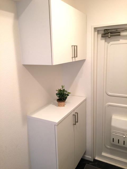 ライオンズマンション駒沢　シューズボックス