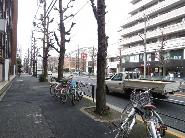 自由が丘ハイタウン　前面道路