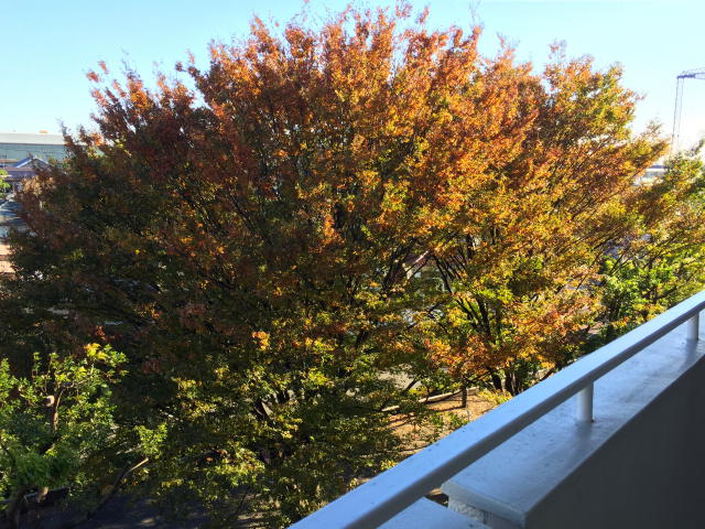 給田南住宅　外廊下