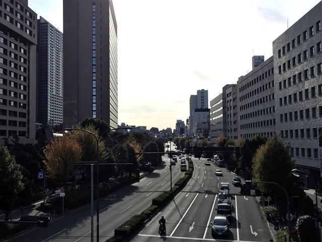 プリンスハイツ飯田橋　周辺環境