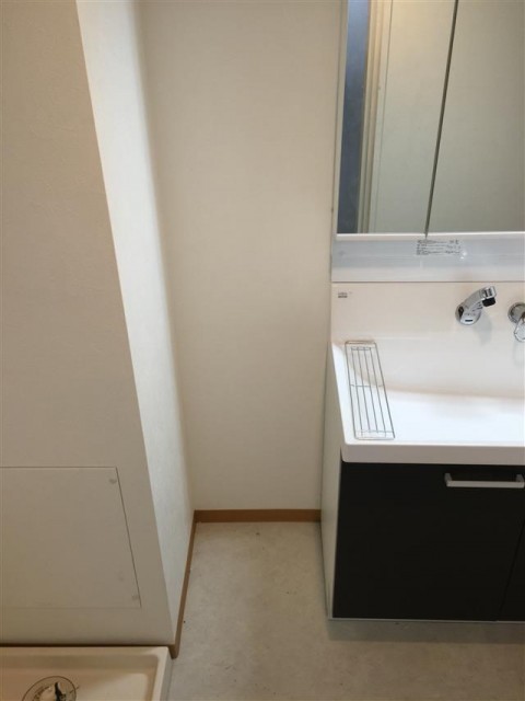 プリンスハイツ飯田橋　洗面台横