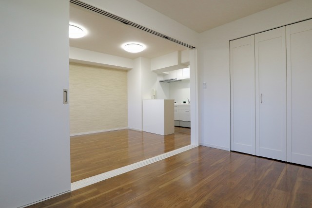 セザール第二目黒三田 洋室5.5