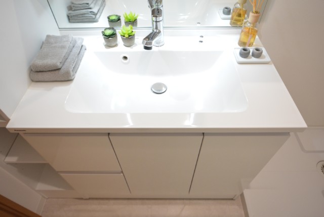 藤和薬王寺ホームズ 洗面室