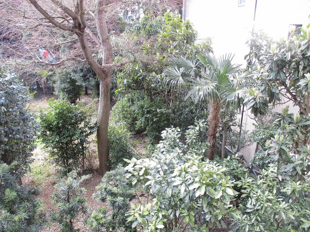 ライオンズマンション高井戸 バルコニー