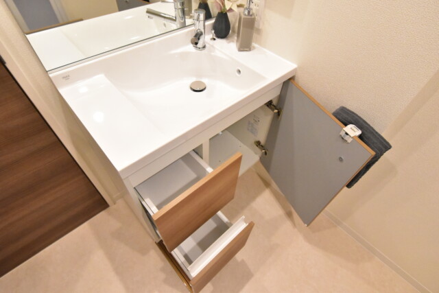 ダイアパレス麻布十番 洗面室