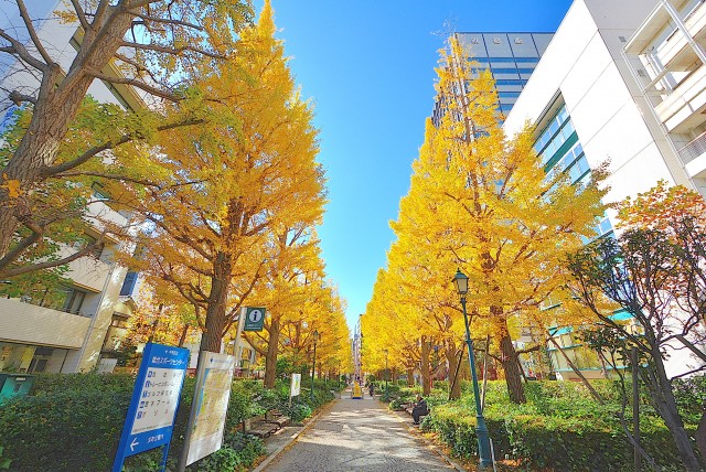 ヴェラハイツ浜町 (2)周辺環境