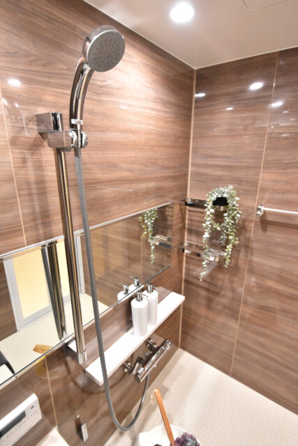 ダイアパレス麻布十番 浴室