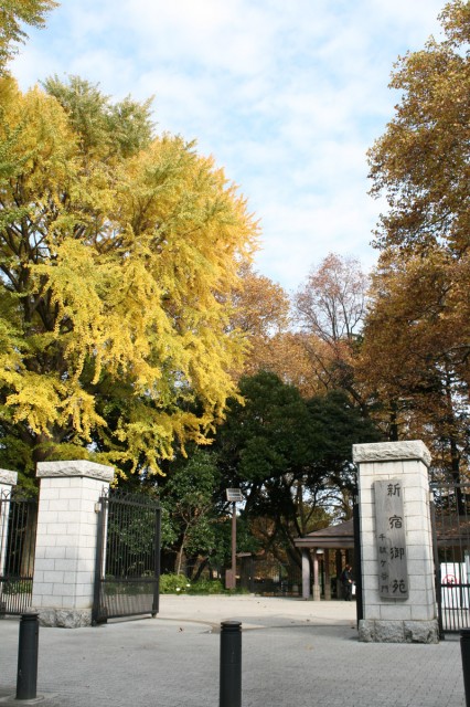 大京町サンハイツ　周辺環境