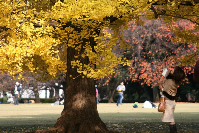 大京町サンハイツ　周辺環境