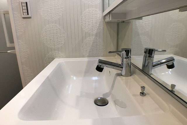 シティハウス西大久保 洗面室