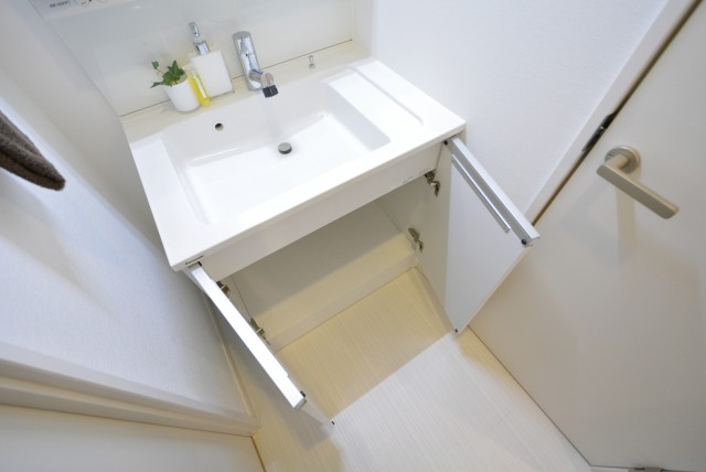 東池袋リリエンハイム 洗面室