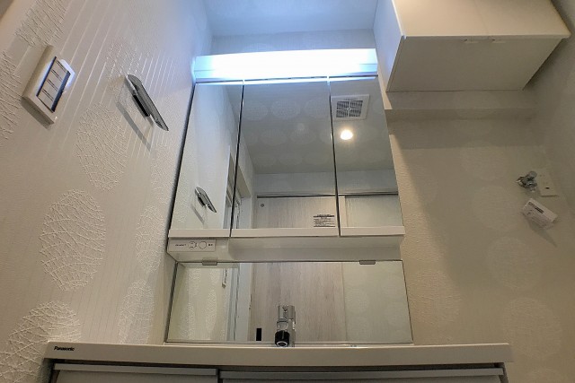 シティハウス西大久保 洗面室