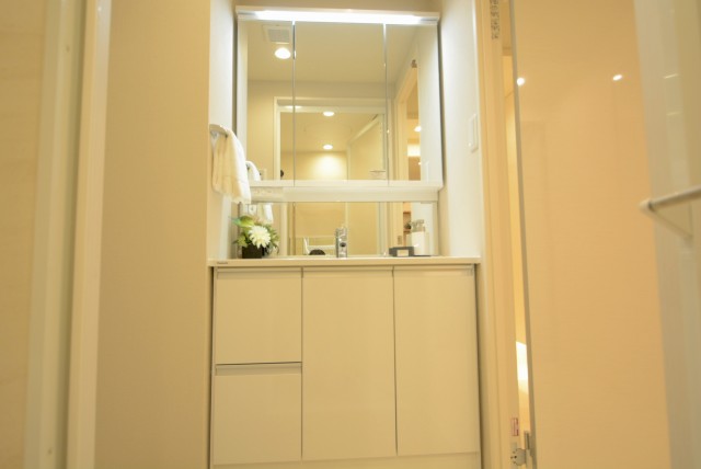 サンビューハイツ渋谷 洗面