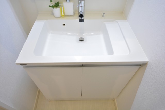 東池袋リリエンハイム 洗面室