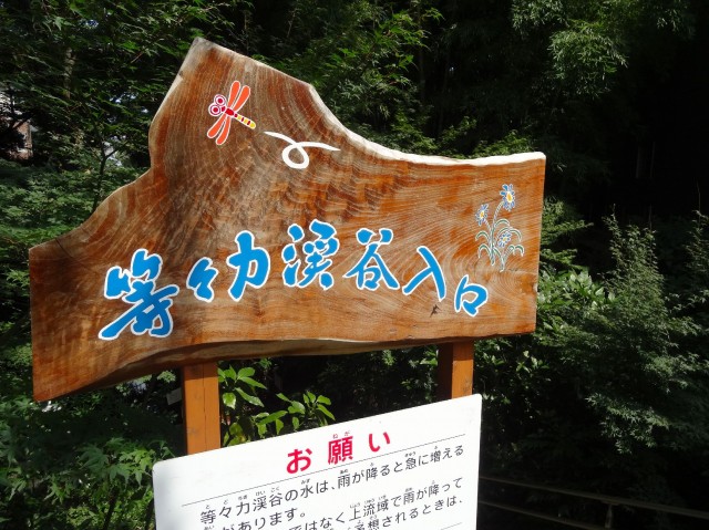 等々力渓谷スカイマンション　等々力渓谷