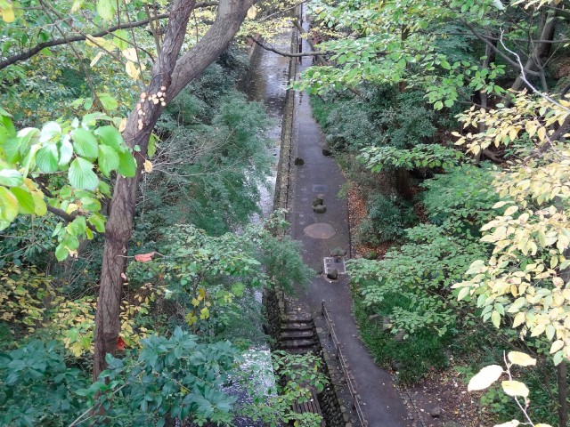 等々力渓谷スカイマンション　等々力渓谷