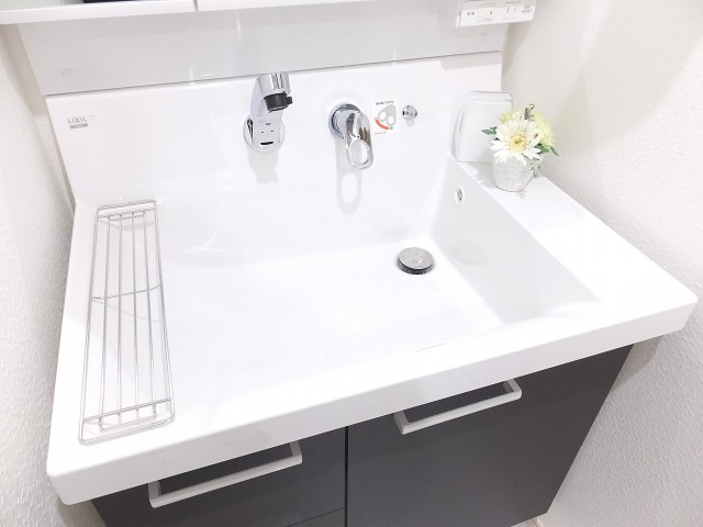 藤和ハイタウン上野　洗面ボウル