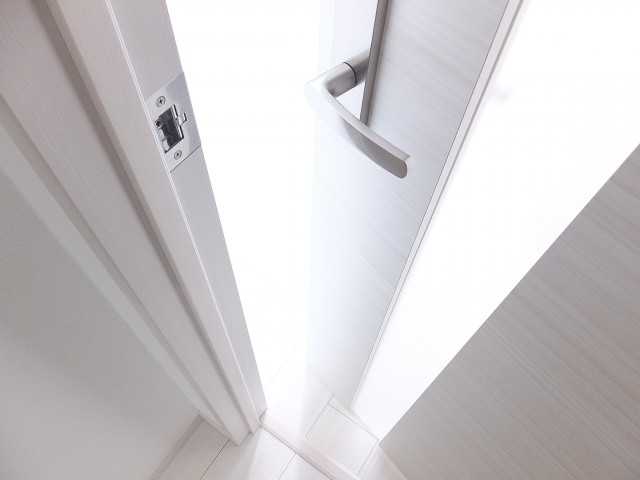 藤和ハイタウン上野　LDK扉