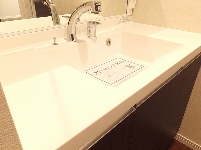 センチュリープラチナマンション大井町　洗面ボウル