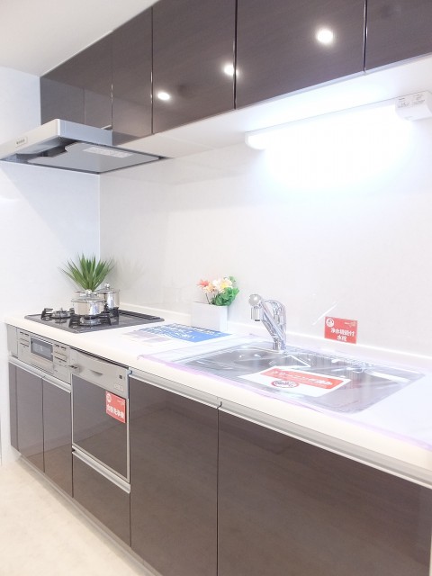 池上パーク・ホームズ　キッチン