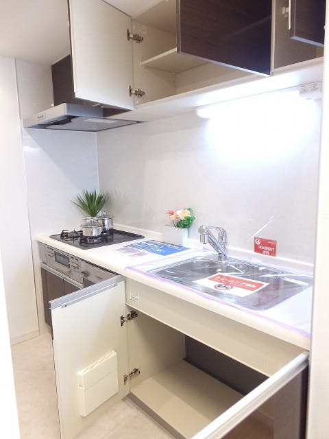池上パーク・ホームズ　キッチン