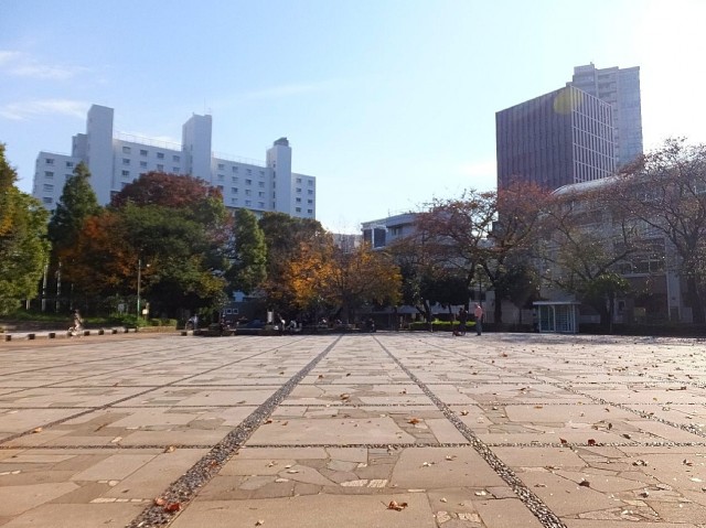 クレド茗荷谷　教育の森公園