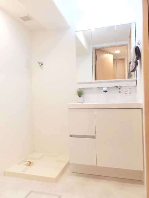 朝日江戸川橋マンション　洗面化粧台と洗濯機置場