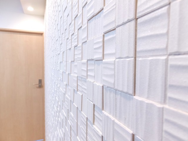 エ朝日江戸川橋マンション　コカラット