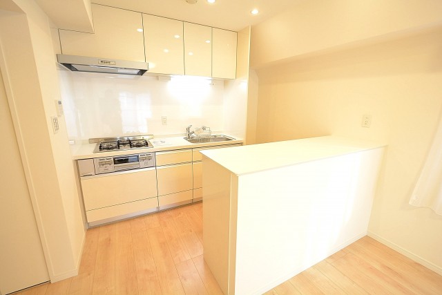 朝日プラザ北新宿 17.0帖のLDK　キッチン