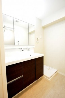 朝日プラザ北新宿 サニタリールーム　洗面台