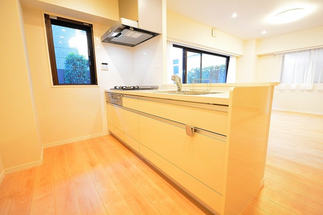 フリーディオ三宿　10.9帖のLDK　キッチン