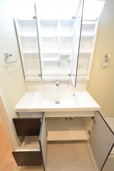 朝日プラザ北新宿 サニタリールーム　洗面台