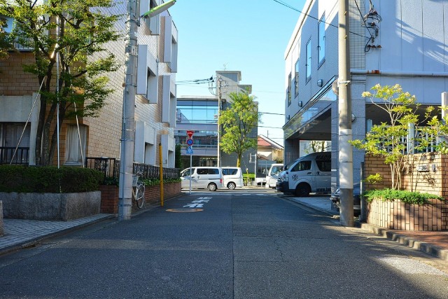 ドミシール田園　エントランス前道路