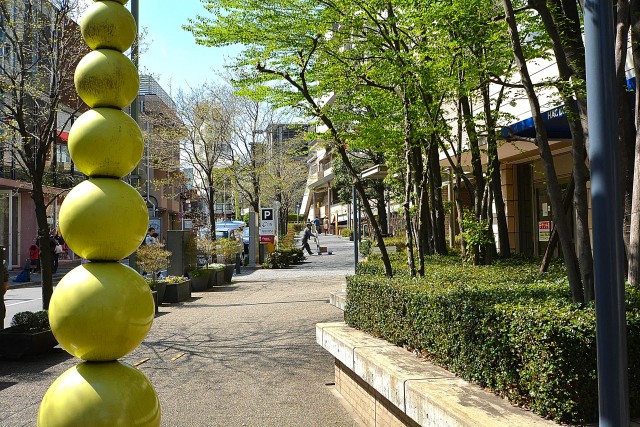 サンビューハイツ渋谷　代官山駅周辺