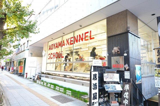 フリーディオ三宿　周辺